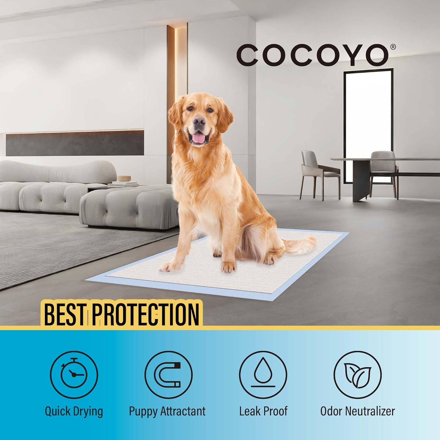 COCOYO Best Value Training Pads – 30 Count | Super Absorbent Dog Pee Pads for All Life Stages
