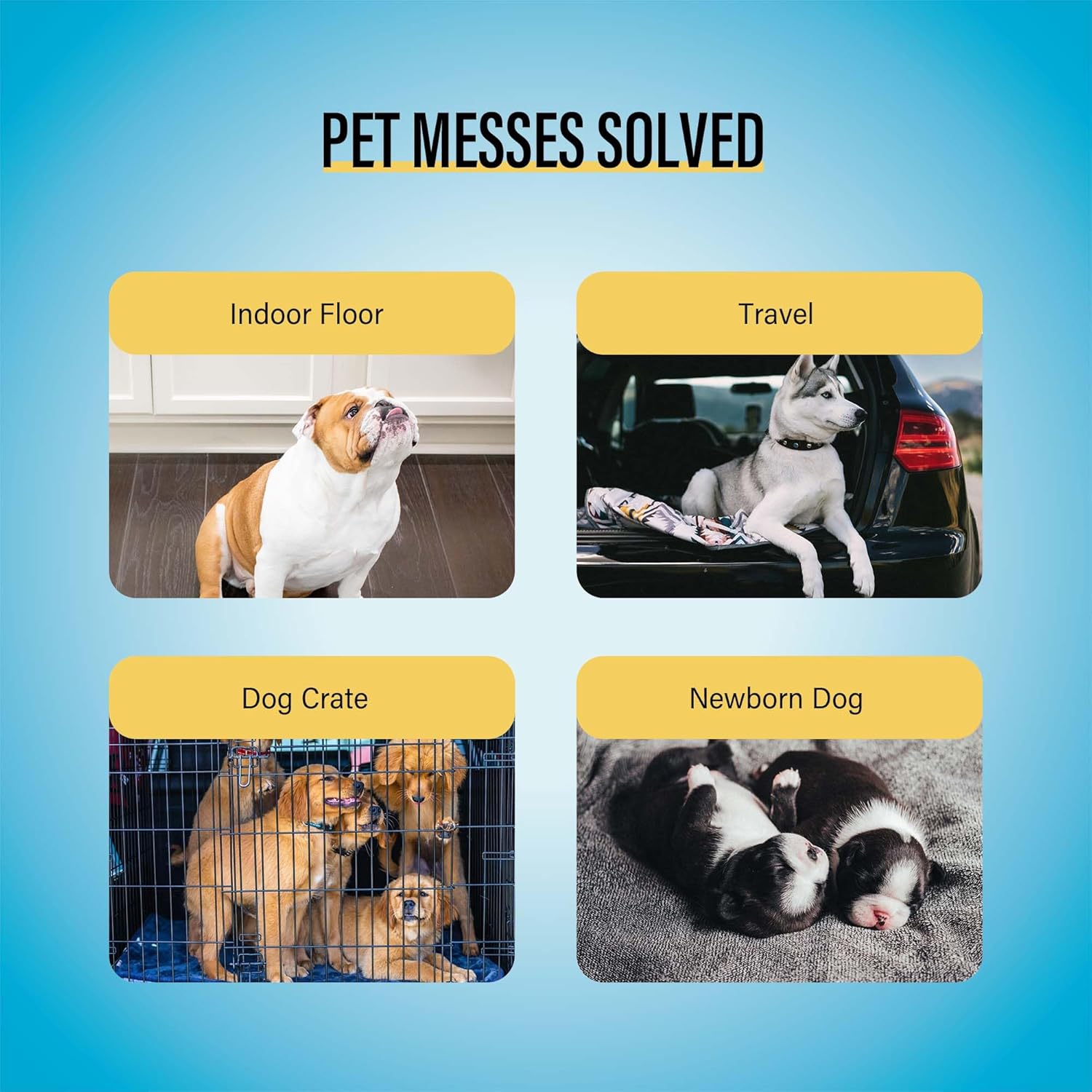 COCOYO Best Value Training Pads – 30 Count | Super Absorbent Dog Pee Pads for All Life Stages